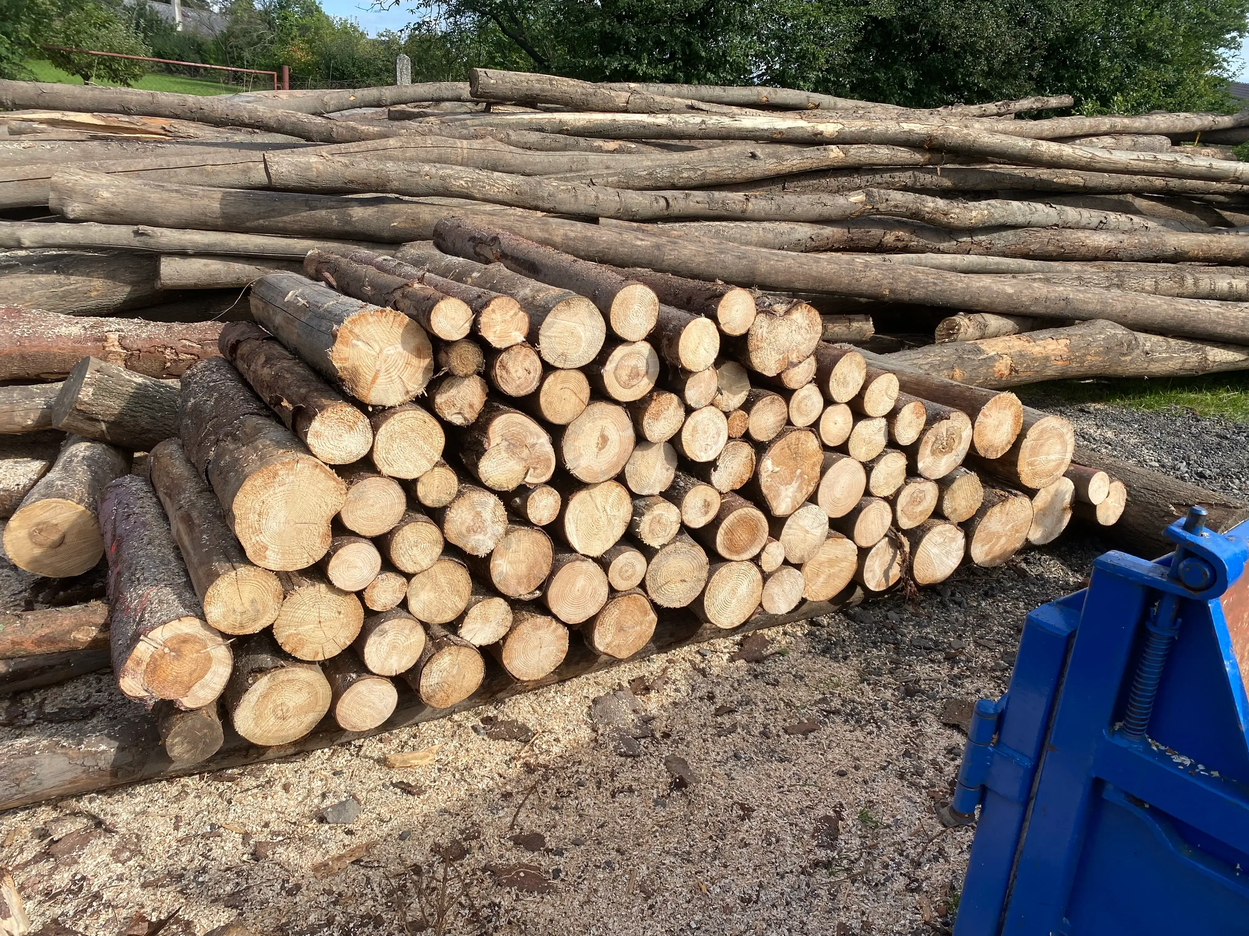 prodej palivového dřeva