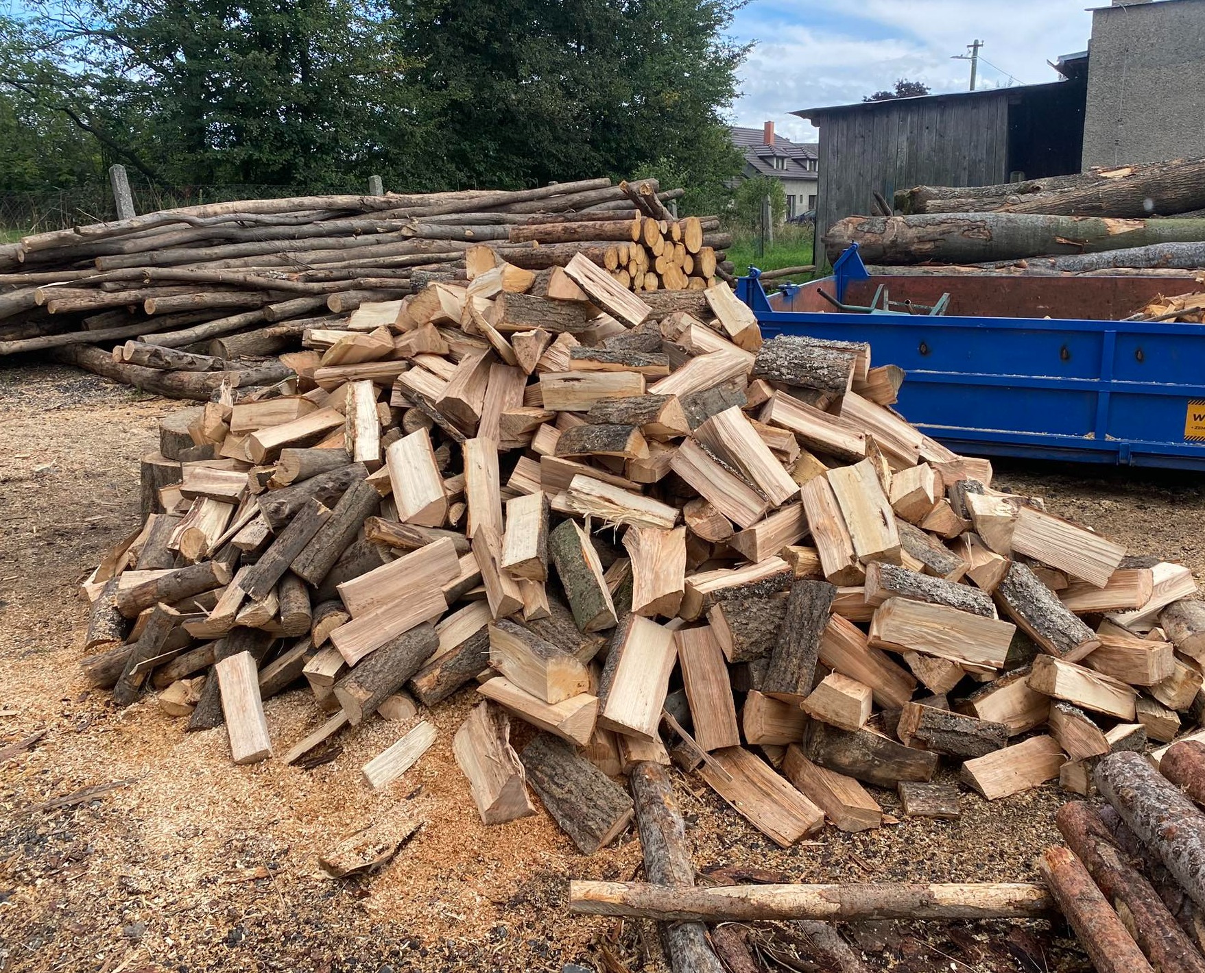 Tvrdé palivové dřevo - polena sypané